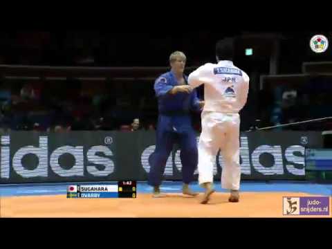 Judo 2013 Grand Prix Jeju: Sugahara (JPN) - Dvarby (SWE) [-90kg] bronze