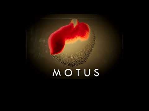 MOTUS  Coleccion de arte abstracto Artista Loreto Lucar