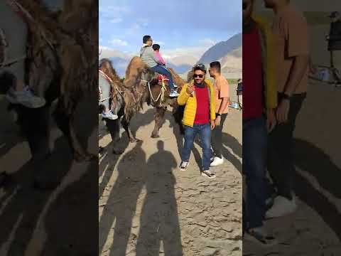 A Unique Camel Ride starts from here.. #camelride