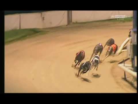 2015 CHAMPION STAKES FINAL - PATCHYS KERRY