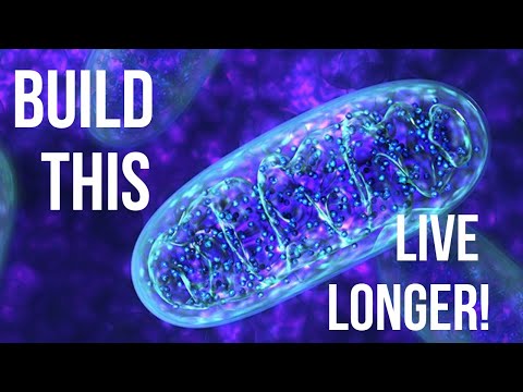 Zone 2 Training Explained: Is This A Key To Living Longer?