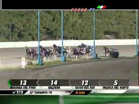 14/01/2013, Taranto , Premio Maggio C.naz.