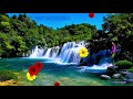 Good Morning Video