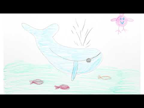 El Pájaro y la Ballena