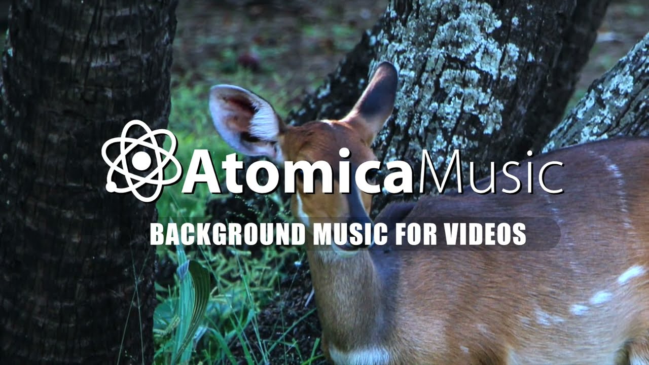 Faun In The Forest - Fantasy Music