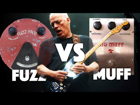 Fuzz vs Big Muff | David Gilmour Tones
