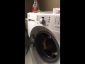 Cat In Washing Machine