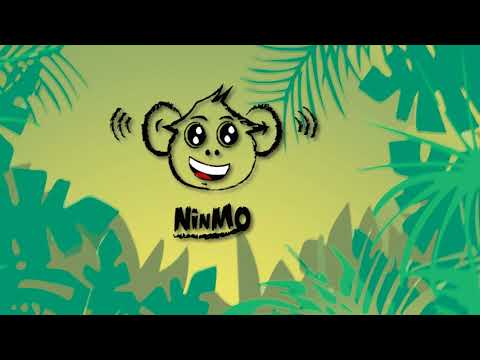 Perfect Together - Ed Sheeran vs Martin Garrix Ninmo Remix