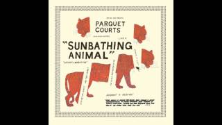 PARQUET COURTS - VIENNA II