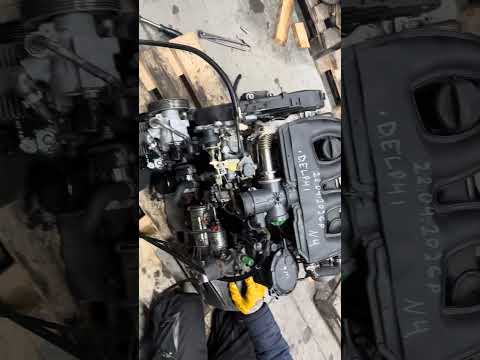 Двигатель DW8 1.9D DELPHI Peugeot Citroen Fiat - фото 1 - id-p3019221634