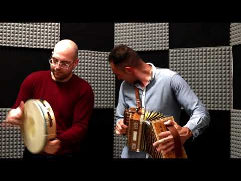 TARANTELLA REGGINA CALABRESE - DOMENICO COSOLETO - IL POETA ALL'ORGANETTO