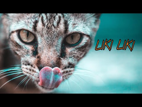 RAJVILLE - LIKI LIKI  | #BAETUESDAY S02 EP12