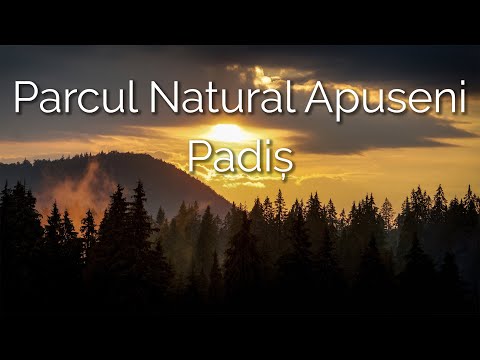 Parcul Natural Apuseni - Padis, Cetatile Ponorului, Cheile Galbenei, Radesei, Scarisoara, Meziad