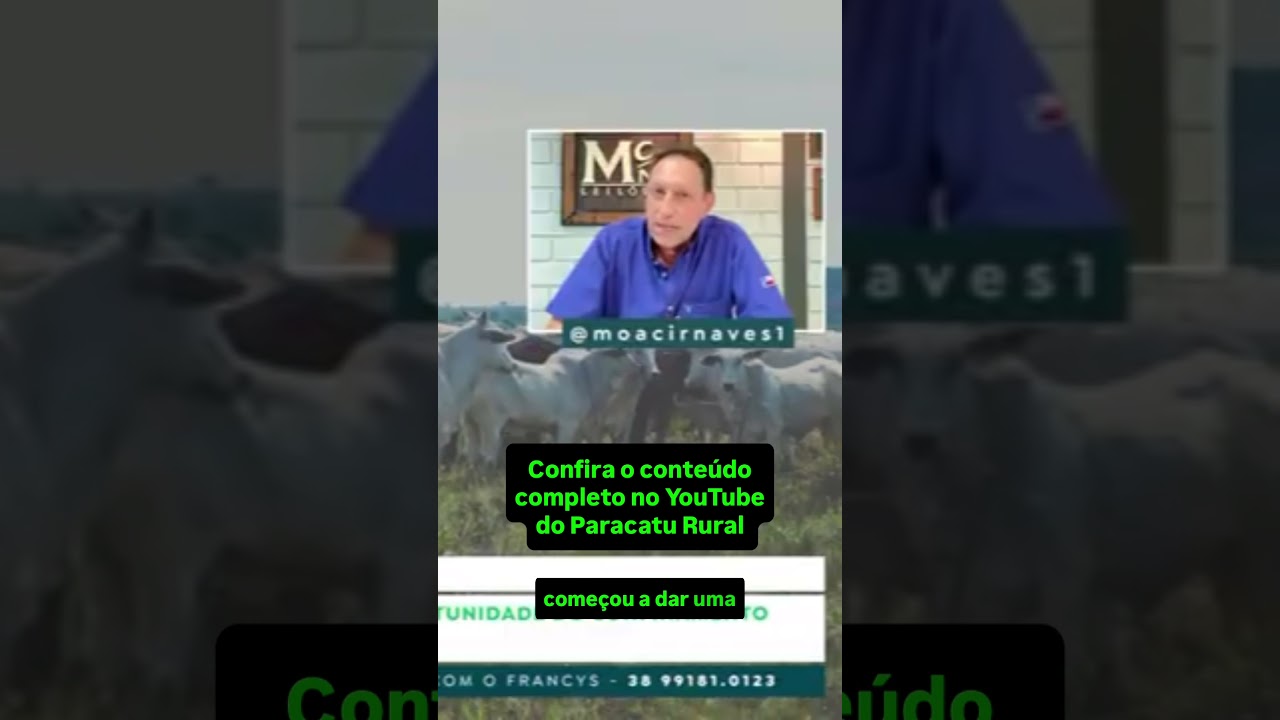 Boi a R$400 e bezerras disparando: o que pecuarista pode esperar?