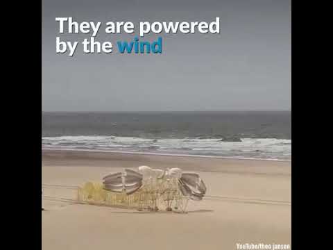 Amazing Beach Animal's created by Theo Jansen.
