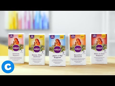 Halo Whole Food Support Dog Supplements