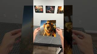 Dog goes skydiving?
