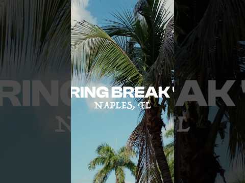 Full screen video on my tiktok or insta in bio #springbreak #florida