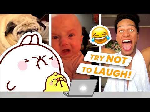 Molang and Piu Piu Try Not To Laugh Challenge | If you laugh you lose 🤣