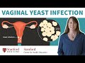 Vaginal Yeast Infection Doctor Explains Causes Symptoms Treatment Stanford
