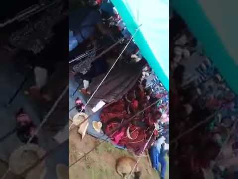 Phephela.   Chesa mpama