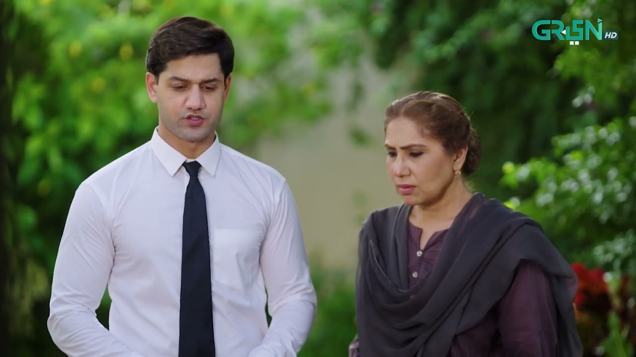 Aik Bhool Episode 47 | Best Scene 05 | Saniya Shamshad - Hammad Farooqui & Ali Abbas | Green TV