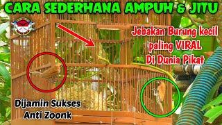 Download lagu Cara Menjebak Burung Emprit Paling Viral Di Dunia Pikat | Bird Trap mp3 Download lagu Cara Menjebak Burung Emprit Paling Viral Di Dunia Pikat | Bird Trap mp3