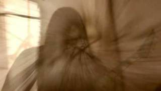 Carpathian Forest - Carpathian Forest