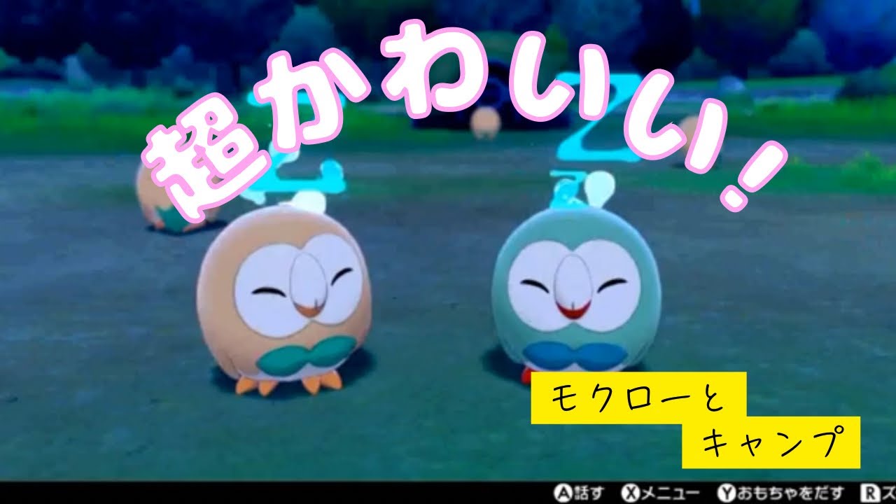 モクローとキャンプしたら可愛すぎた