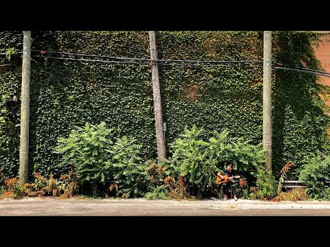 Owen - The Contours (Green Wall Alley) [OFFICIAL LIVE VIDEO]