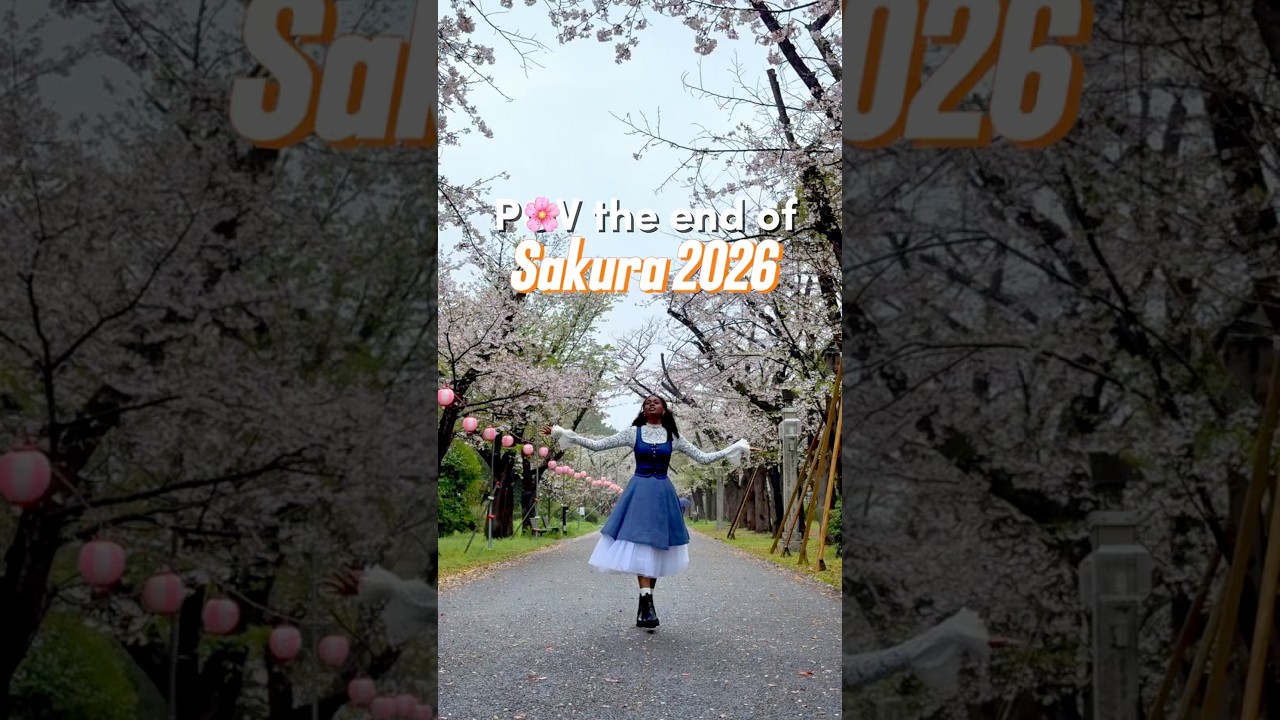 And with that, the Sakura 2026 season in Tokyo comes to an end 💔🌸💨☔️😭 see you in 2027