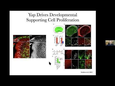 Nathaniel Kastan thesis talk