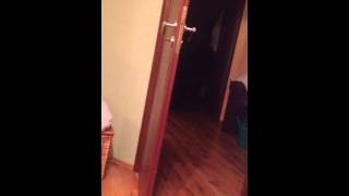 Cerwin Vega Stroker door shake 2