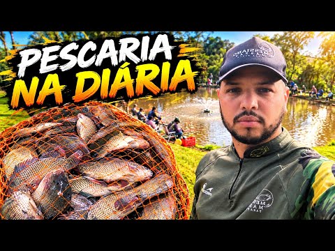 DIÁRIA NO PESQUEIRO Do JURA RIO BOM /PR
