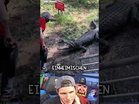 Wenn hier jemand ertrinkt, versuch ihn AUF KEINEN FALL ZU RETTEN!