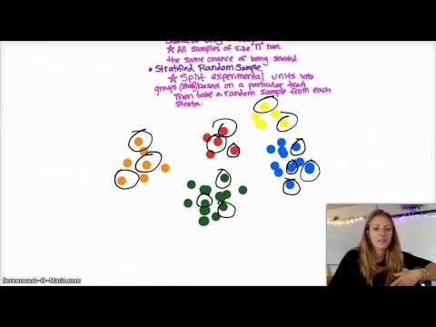 AP-Statistik | Kapitel 4 – Wiederholung | Studienplanung