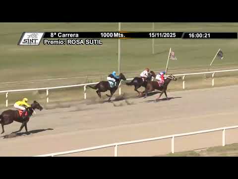 SINT COLONIA 251115 c08 - REAL TRINNI