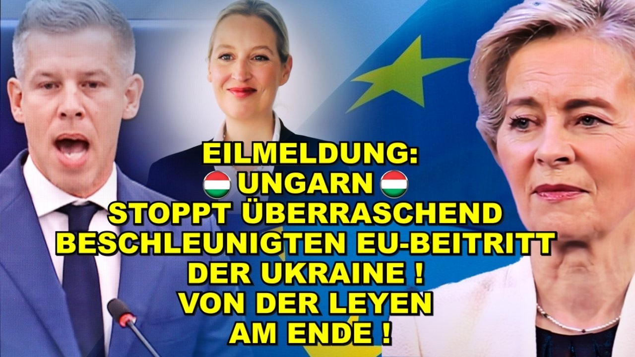 EIL: UNGARN STOPPT Ukraine-EU-Beitritt!