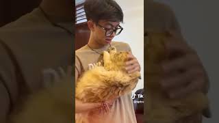 Download lagu 😓😓 #sptrakori_official #fypyoutube #sedih mp3