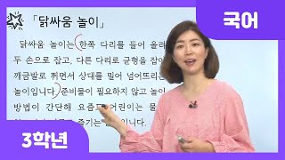 [초등 3학년 | 국어] 아는 내용이나 겪은 일과 관련지어 글을 이해하기 | 닭싸움 놀이 | 글 내용 이해하기 | 읽기