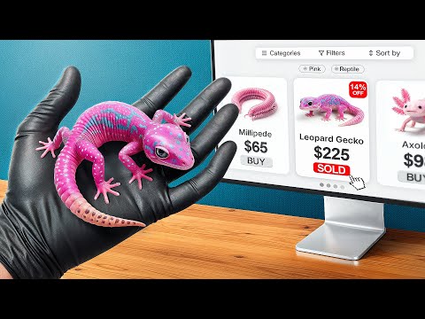 I Bought Every Pink Animal Online...
