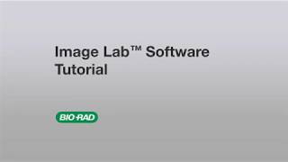 ChemiDoc Imaging Systems | Bio-Rad ChemiDoc Imaging Systems | Bio-Rad