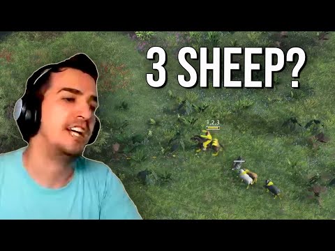 Sometimes The Universe Doesn't Give You Any Sheep...