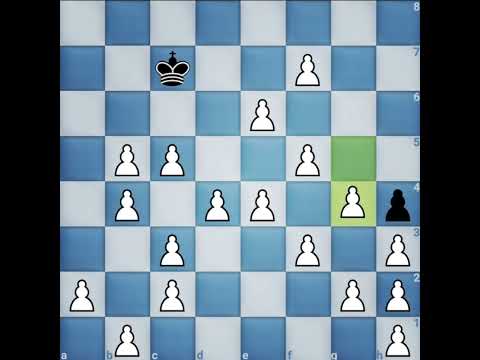 558 Elo how to play chess #chess #magnus