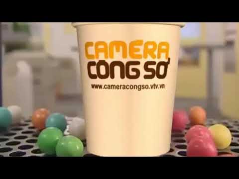 Tổng Hợp Camera Công Sở Tất Cả Các Tuần  Phần 1