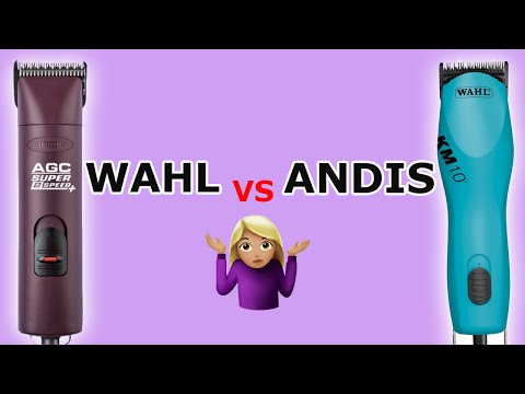 Andis vs. Wahl Clipper Comparison (From A Professional...