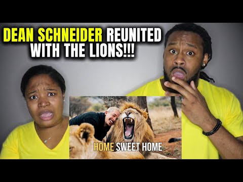 WELCOME HOME, DEAN SCHNEIDER! The Demouchets REACT First Time Seeing Dean & The Lion Pride