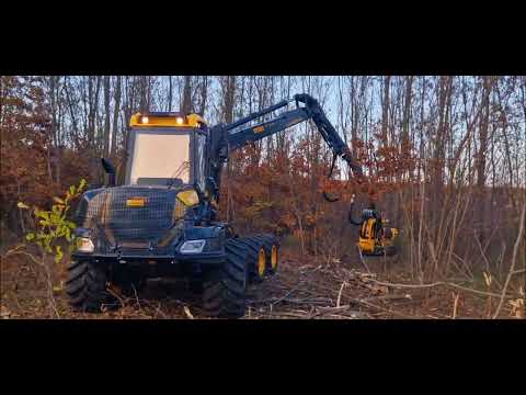 Гола сеч в акациево насаждение с Ponsse Fox 8x8 с харвестърна глава H6