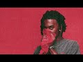 NEON Playboi Carti WLR V1 2018 2019 Compilation LP
