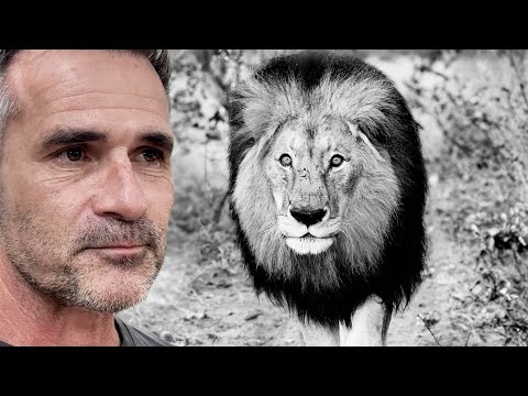 Heartbreaking Goodbye to Majestic LION | The Lion Whisperer
